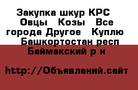 Закупка шкур КРС , Овцы , Козы - Все города Другое » Куплю   . Башкортостан респ.,Баймакский р-н